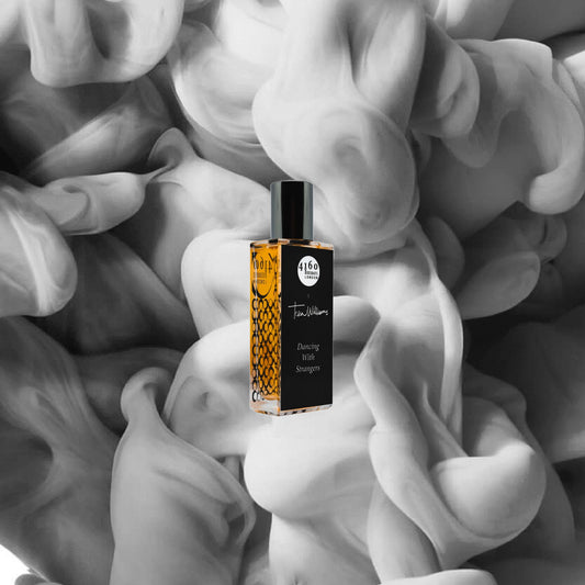 4160 Tuesdays - Dancing with Strangers (Tessa Williams Collab)