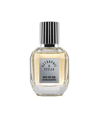 Astrophil & Stella - Into the Oud