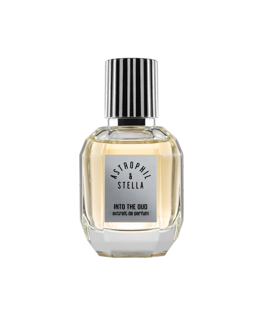 Astrophil & Stella - Into the Oud
