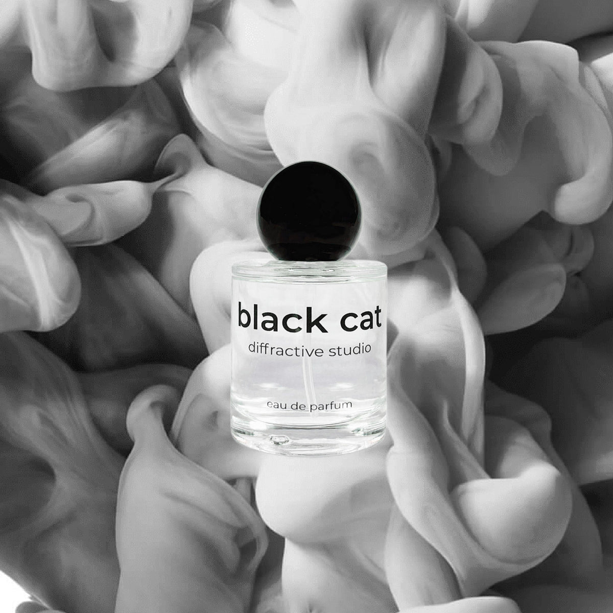 Diffractive Studio - Black Cat