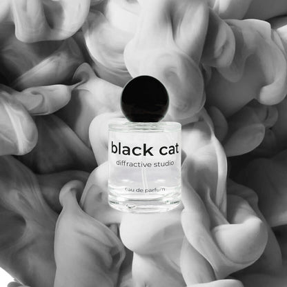 Diffractive Studio - Black Cat