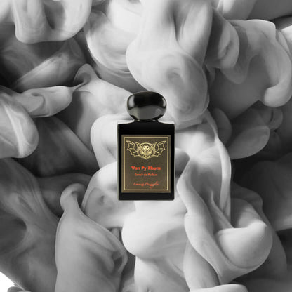 Lorenzo Pazzaglia - Van Py Rhum